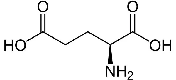 axit glutamic 1