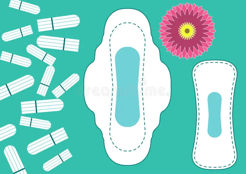 vector el modelo menstruacion y los cojines sanitarios diarios tapones una flor proteccion de la higiene por dias criticos 113683889