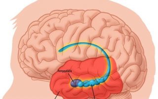 Bệnh viêm màng não: Nguyên nhân, triệu chứng và cách phòng ngừa hiệu quả