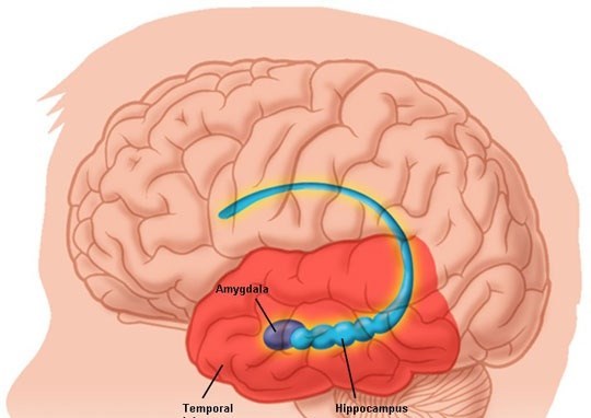 Bệnh viêm màng não: Nguyên nhân, triệu chứng và cách phòng ngừa hiệu quả