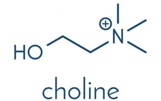 Choline: Thành phần dinh dưỡng thiết yếu cho sức khỏe não bộ và tim mạch