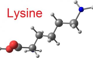 Lysine là gì? Bạn sẽ bất ngờ với những lợi ích của nó