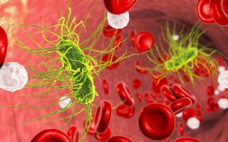 Nhiễm khuẩn huyết: Nguyên nhân, triệu chứng, điều trị và cách phòng ngừa