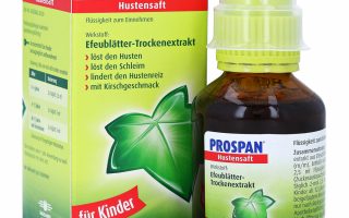 Prospan - Thuốc ho thảo dược của Đức giúp bạn thoát khỏi cơn ho dai dẳng