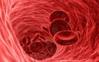 Thalassemia: Bệnh gì mà khiến người bệnh phải truyền máu cả đời?