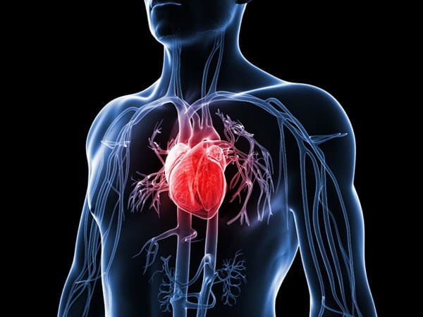 Thuốc tim mạch: Những điều cần biết để sử dụng an toàn và hiệu quả