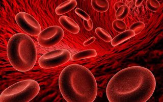 Triệu chứng thiếu máu: Nguyên nhân, cách phòng ngừa và điều trị hiệu quả