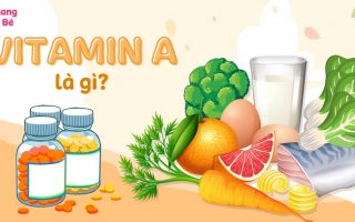 Vitamin A có tác dụng gì? Cách bổ sung vitamin A hợp lý cho cơ thể